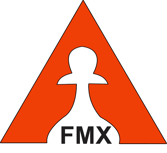 Federação Mineira de Xadrez